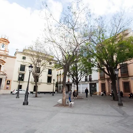 Gotoseville Molviedro 公寓 塞维利亚